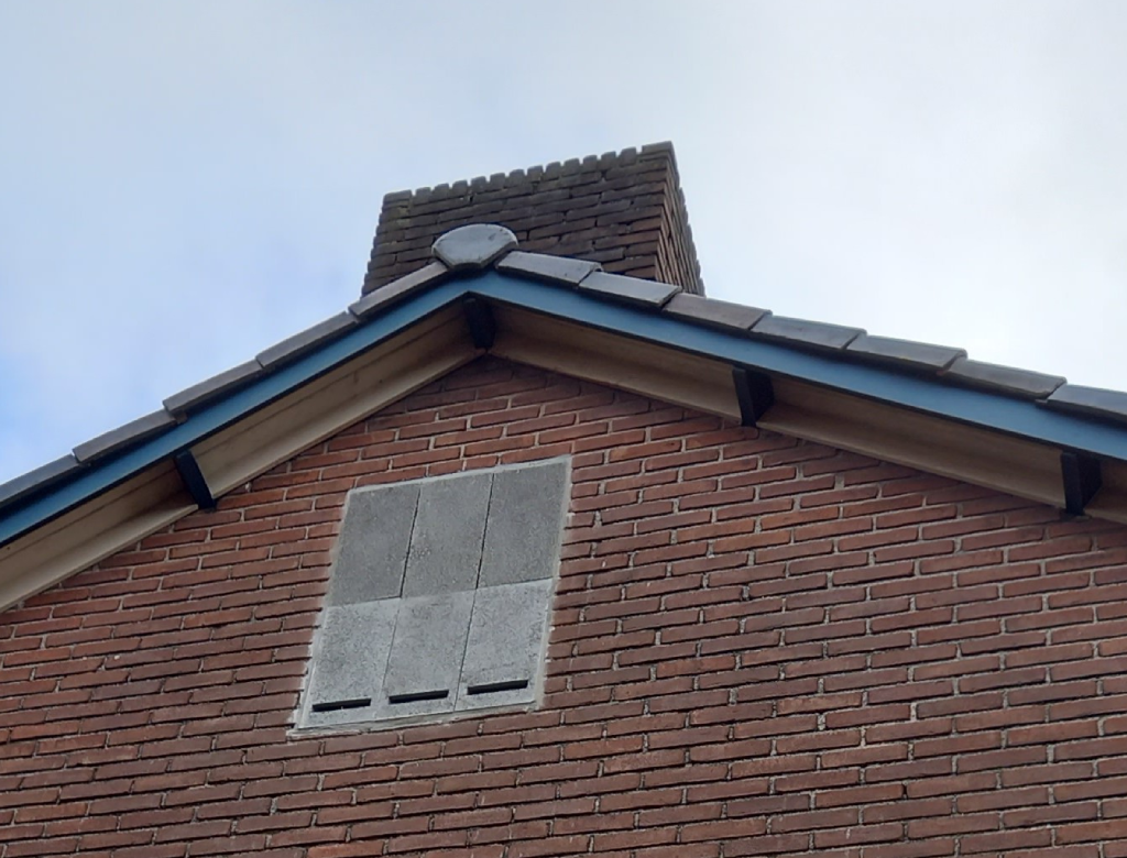 Vleermuiskast 1024x780