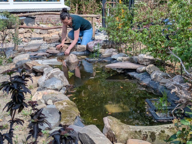 Vijver in de tuin bij Tessa