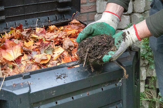 Compost
