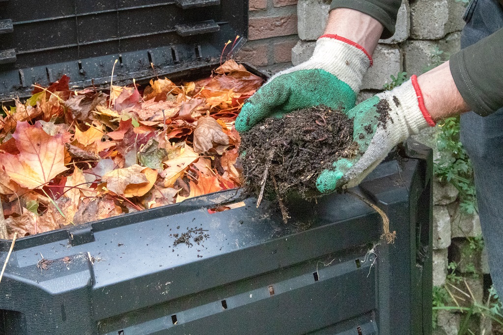 Compost