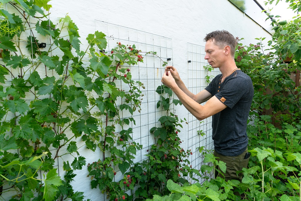 Groen tegen muur verkoeling