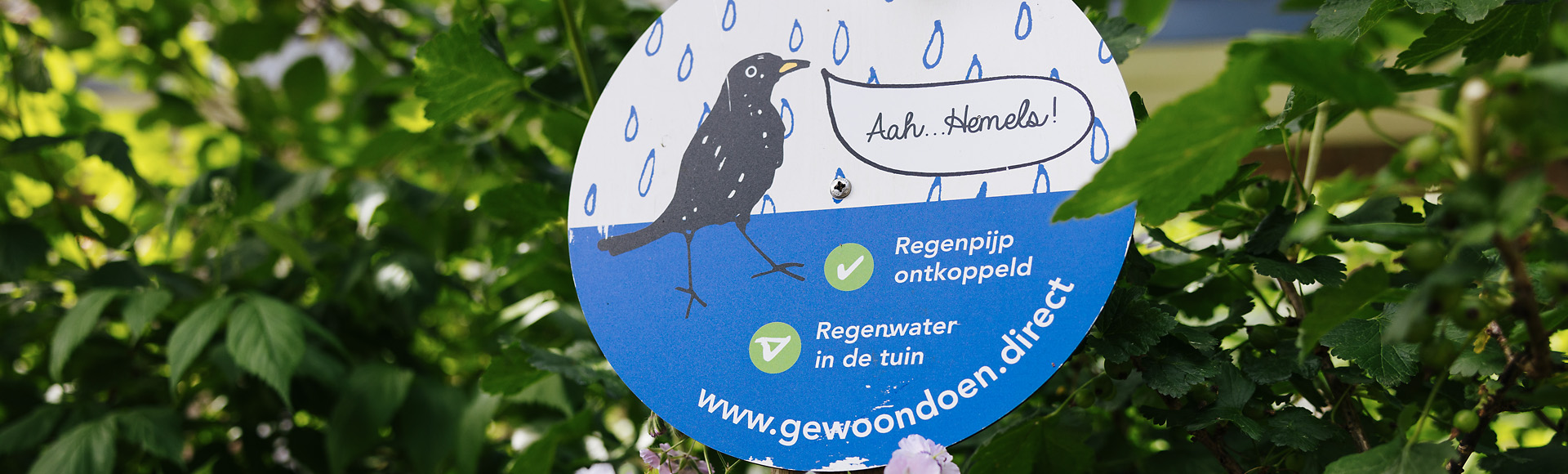 gewoondoen-merel